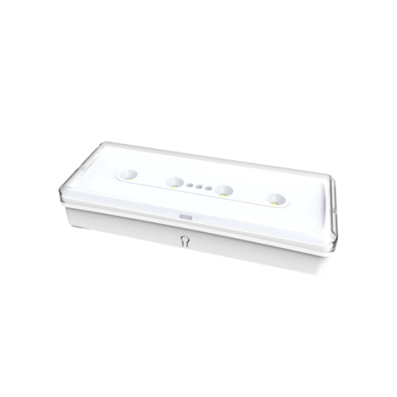 Lampe de secours LED 100 lm 3 heures IP20 permanente/non permanente